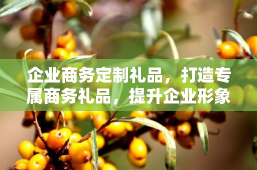 企业商务定制礼品，打造专属商务礼品，提升企业形象与品牌价值