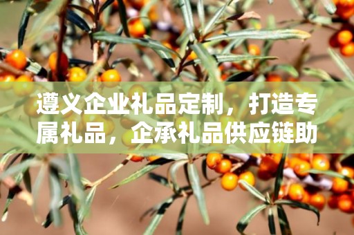 遵义企业礼品定制，打造专属礼品，企承礼品供应链助力企业发展