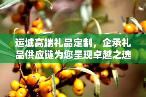 运城高端礼品定制，企承礼品供应链为您呈现卓越之选