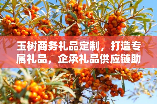 玉树商务礼品定制，打造专属礼品，企承礼品供应链助力商务往来