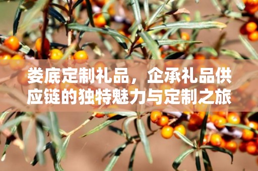 娄底定制礼品，企承礼品供应链的独特魅力与定制之旅